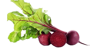 beetroot