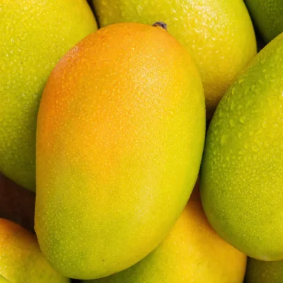 premium kesar mango 12 pc