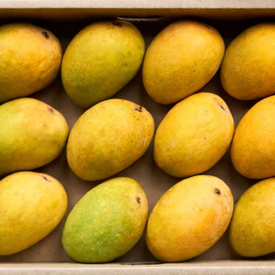 alphonso mangoes 12 pc
