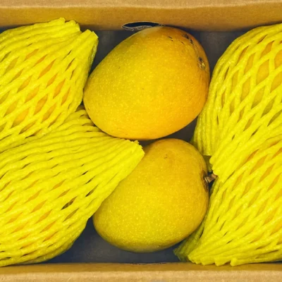 alphonso mangoes 6 pc