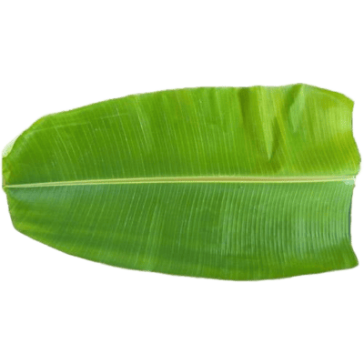 banana leaf