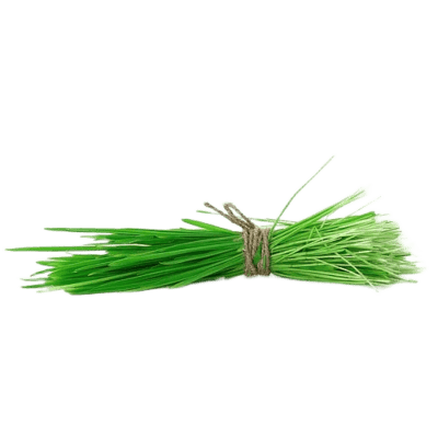 durva (bermuda grass) 1bunch pre booking only