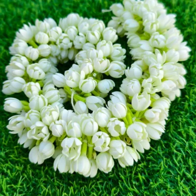 jasmine string